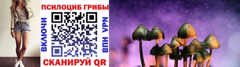 Псилоцибиновые грибы GOLDEN TEACHER хочу Кущёвская